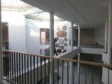 Das Naturkundemuseum am 14.11 (17).JPG